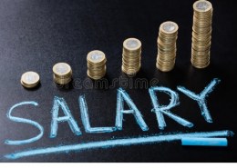 What is the definition of Salary as per Income Tax Act?